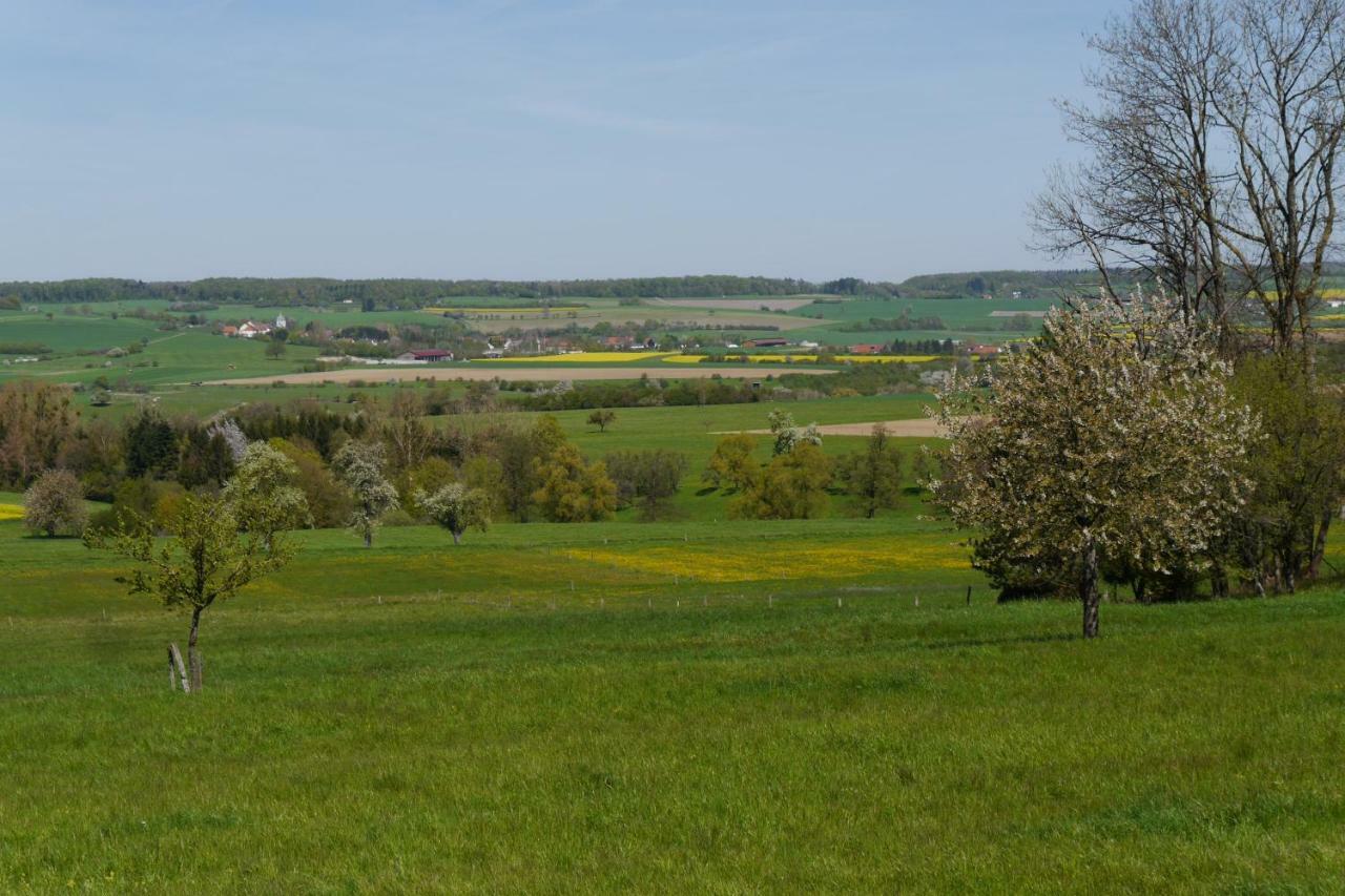 GersheimEulennest, Haus Vogelgesangアパートメント エクステリア 写真